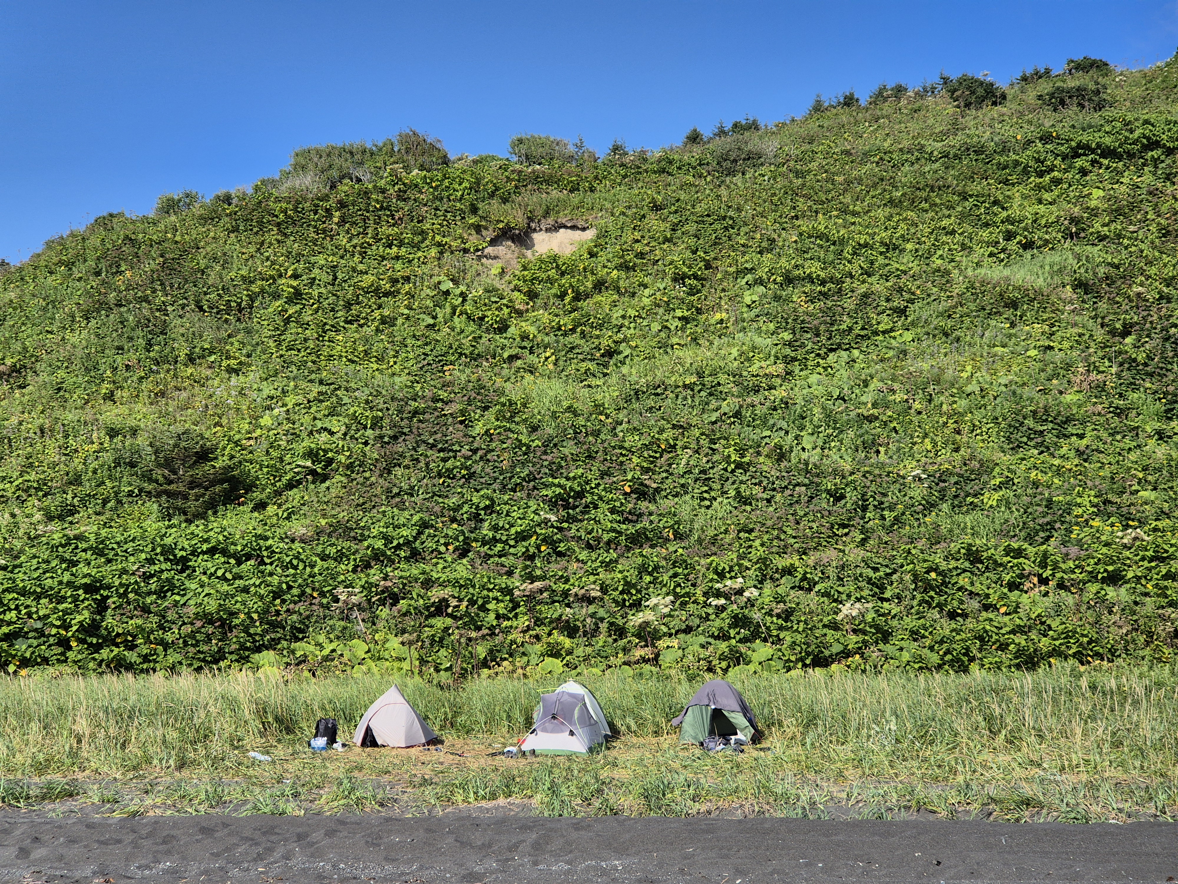 Стоянка в Новиково