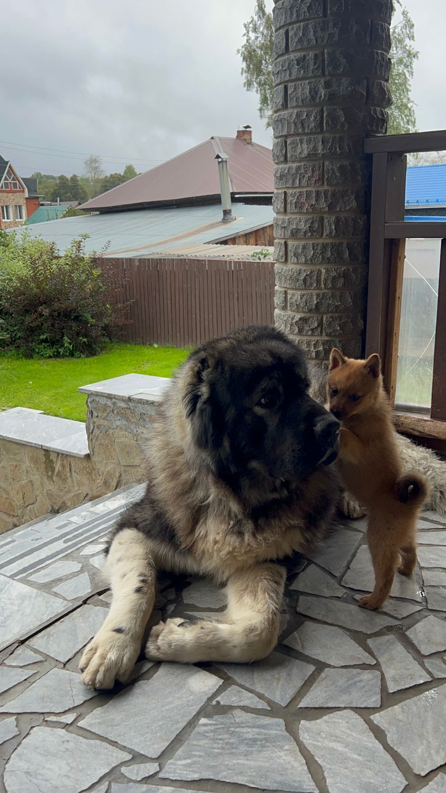 Рядом с Наставником