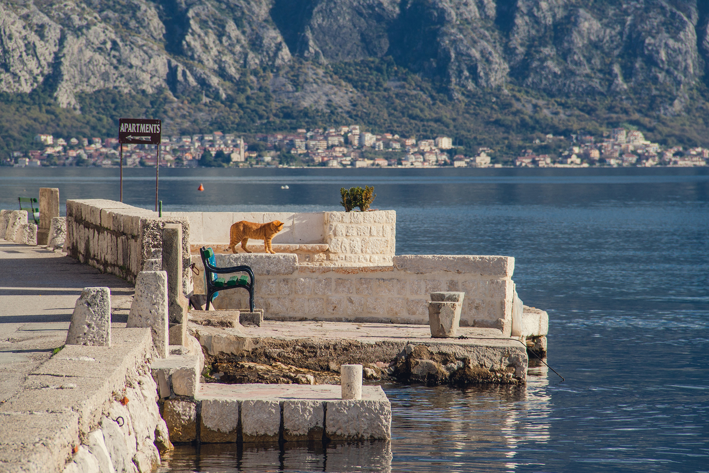 Напоследок — фото хозяина Пераста, осматривающего свои владения