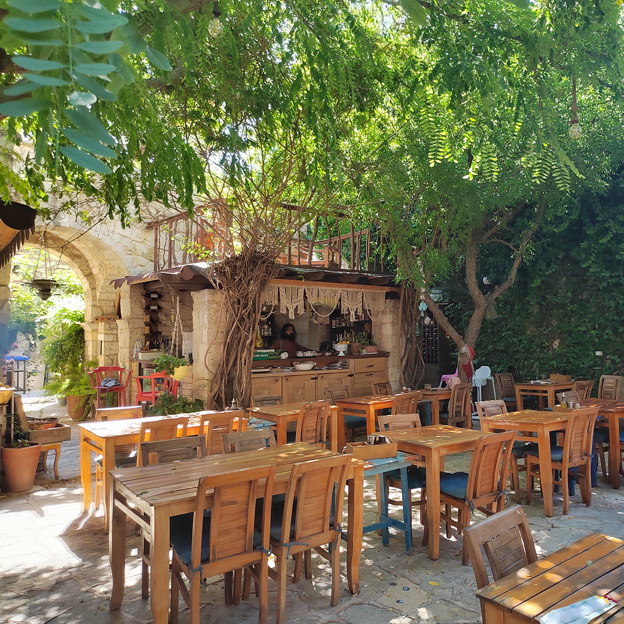 Внутренний дворик Salkım Söğüt: кроны деревьев дают тень, а каменные стены, по которым стелется плющ, обеспечивают приятную прохладу даже в полдень