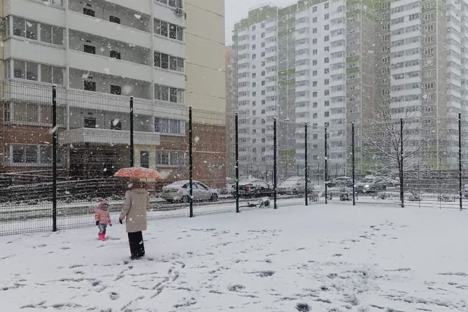 Январь в Краснодаре. Редкий мокрый снег