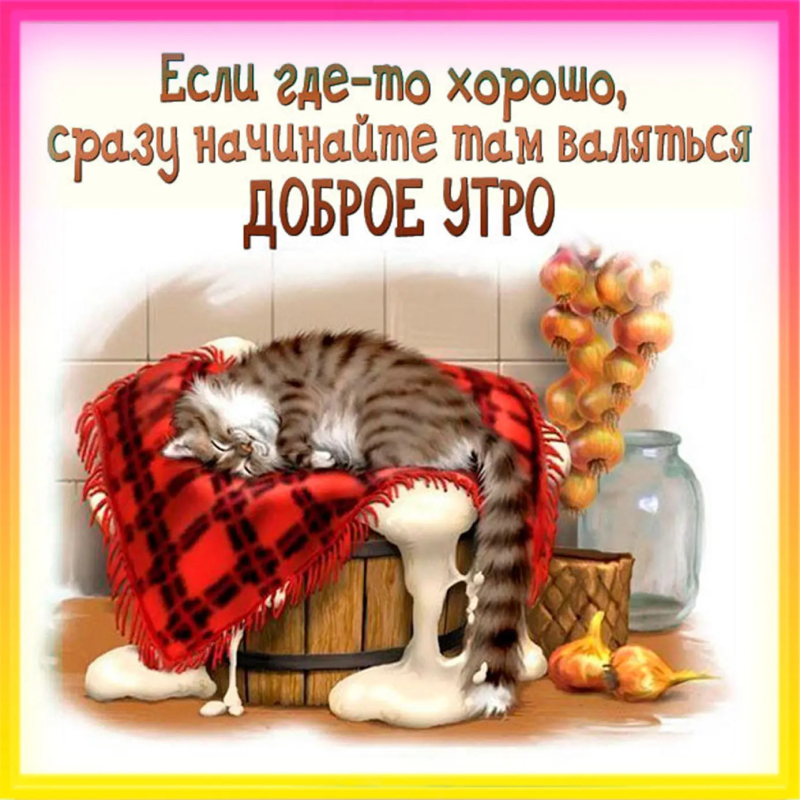 Спящий кот