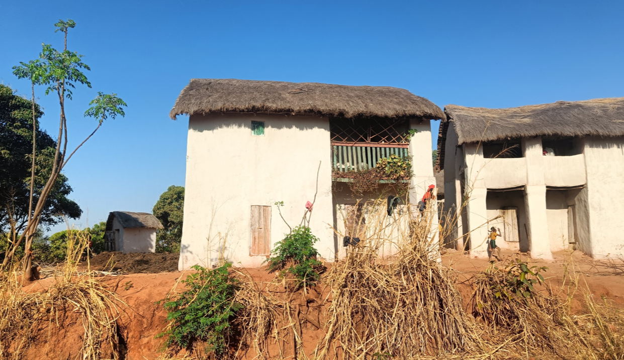 Малагасийский дом