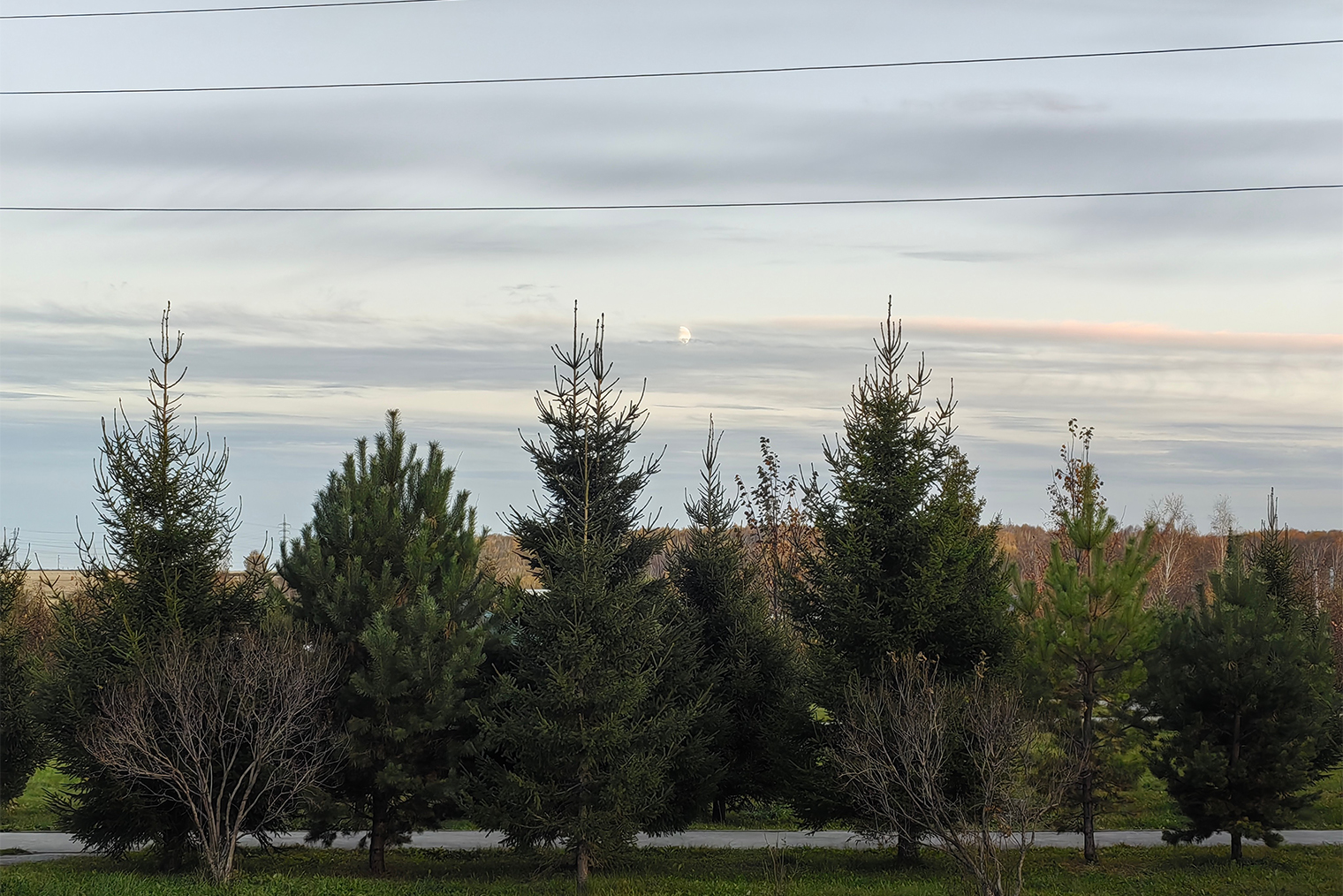 Едем в ДК на концерт дочери