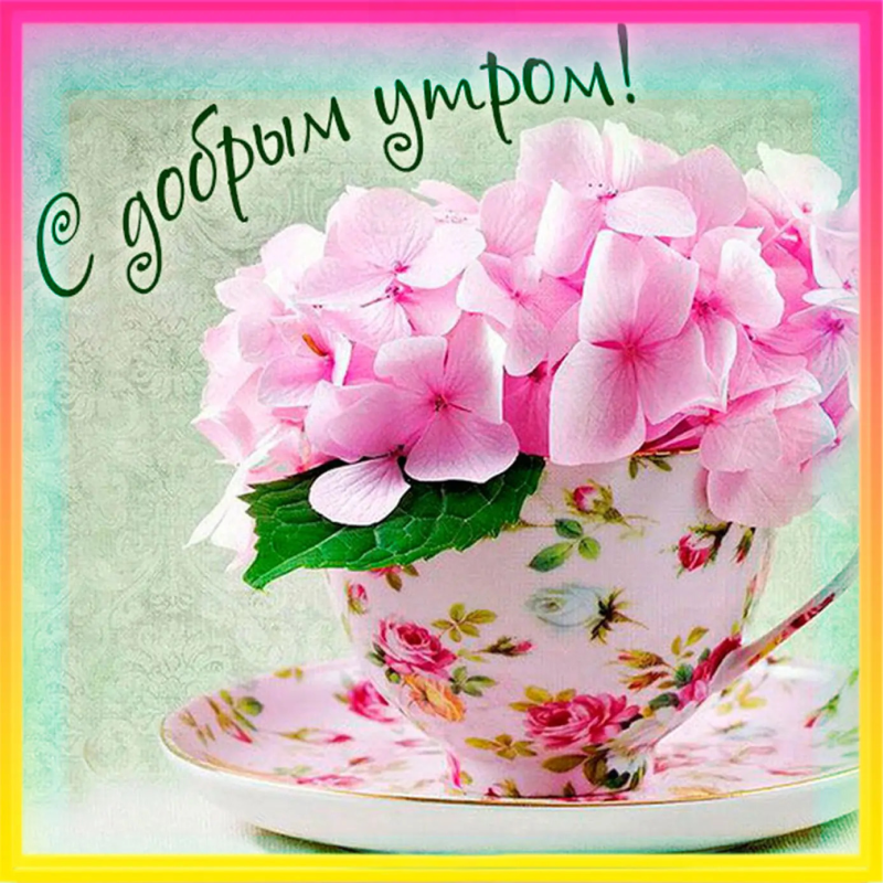 Цветы
