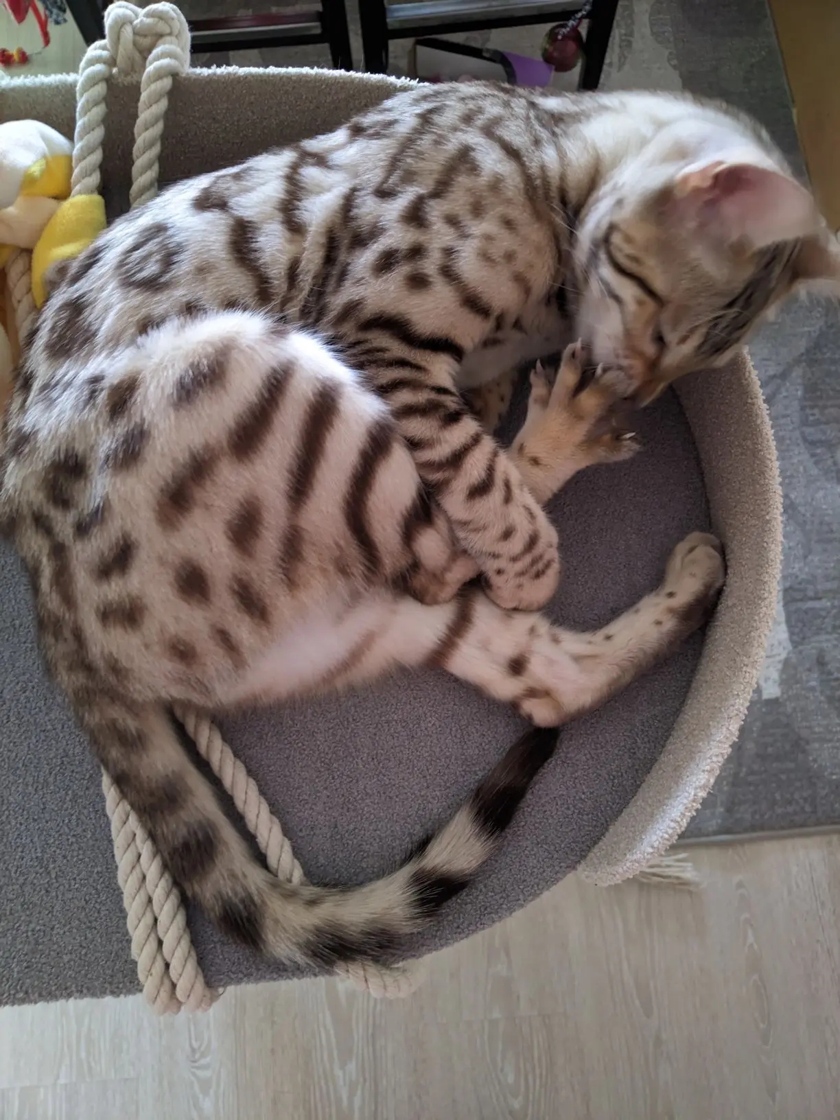 Делаю педикюр!