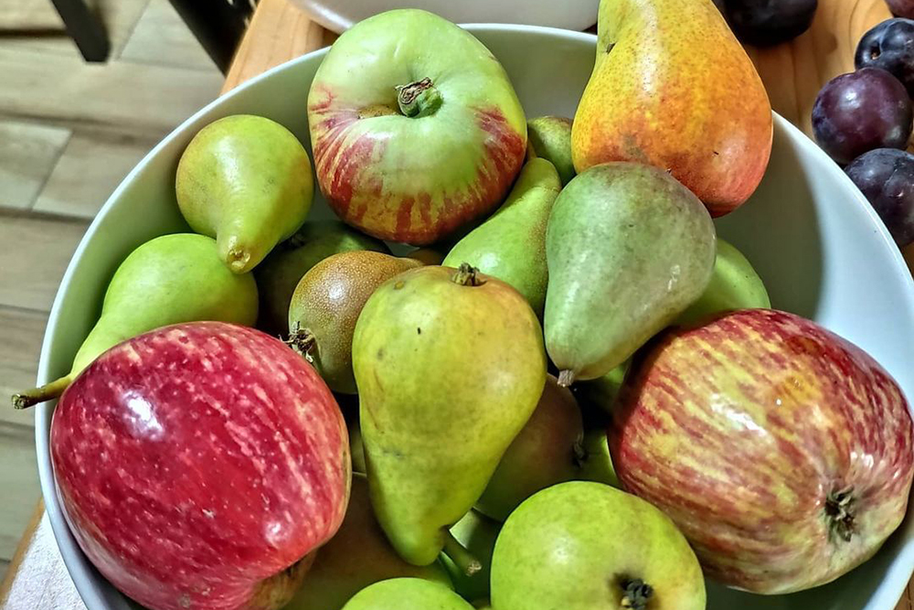 Домашний яблочный сидр — пошаговый фото рецепт приготовления в домашних условиях