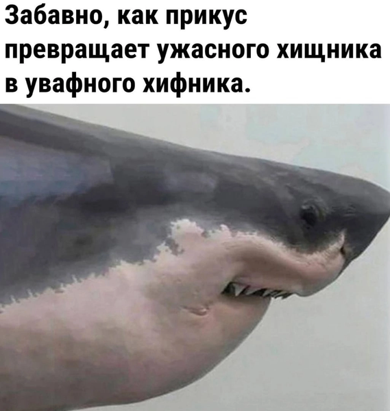 Андрей Крылов 