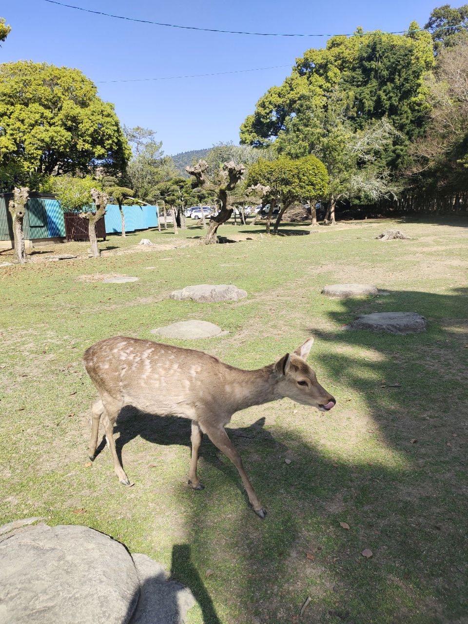 Фотографии года