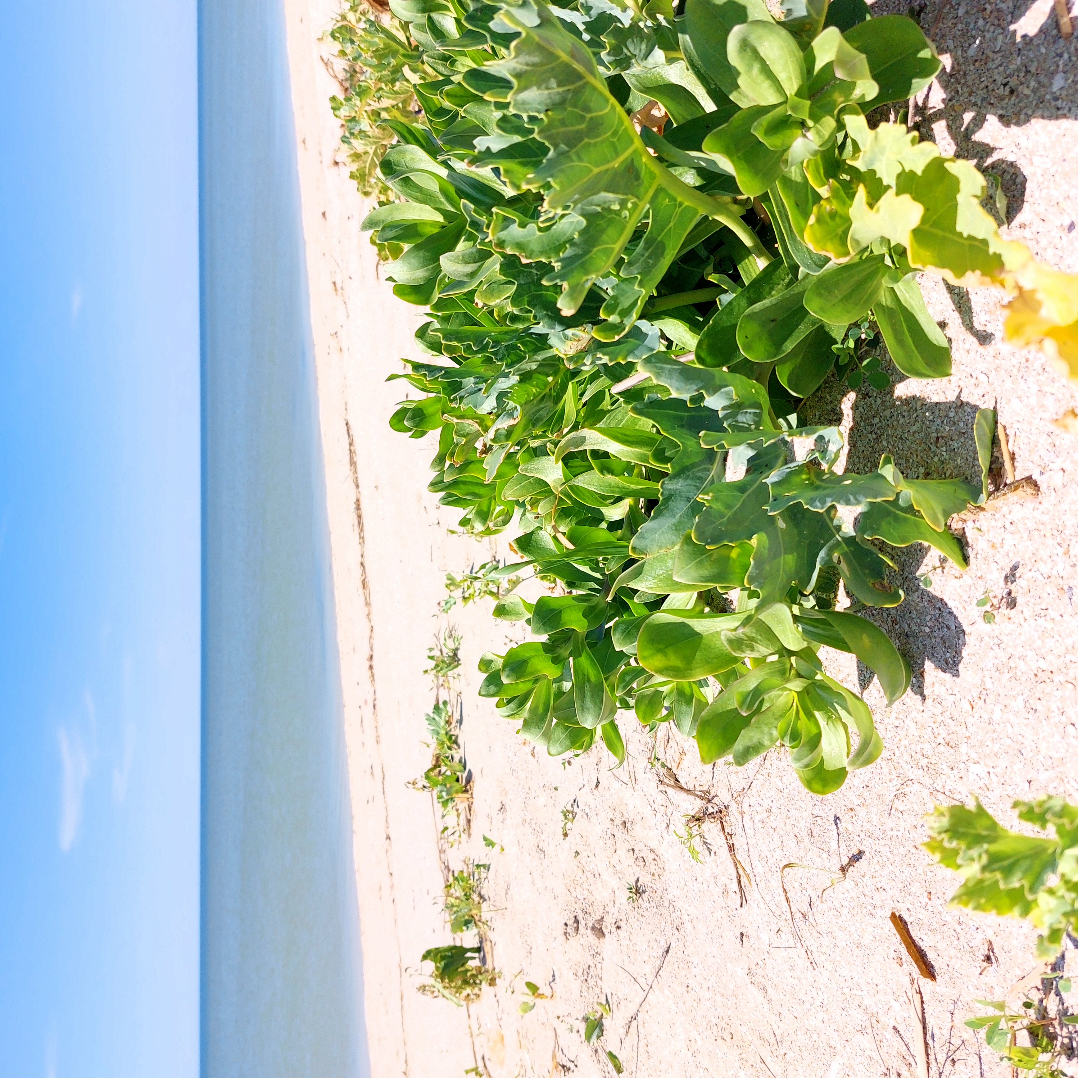 Фотография года