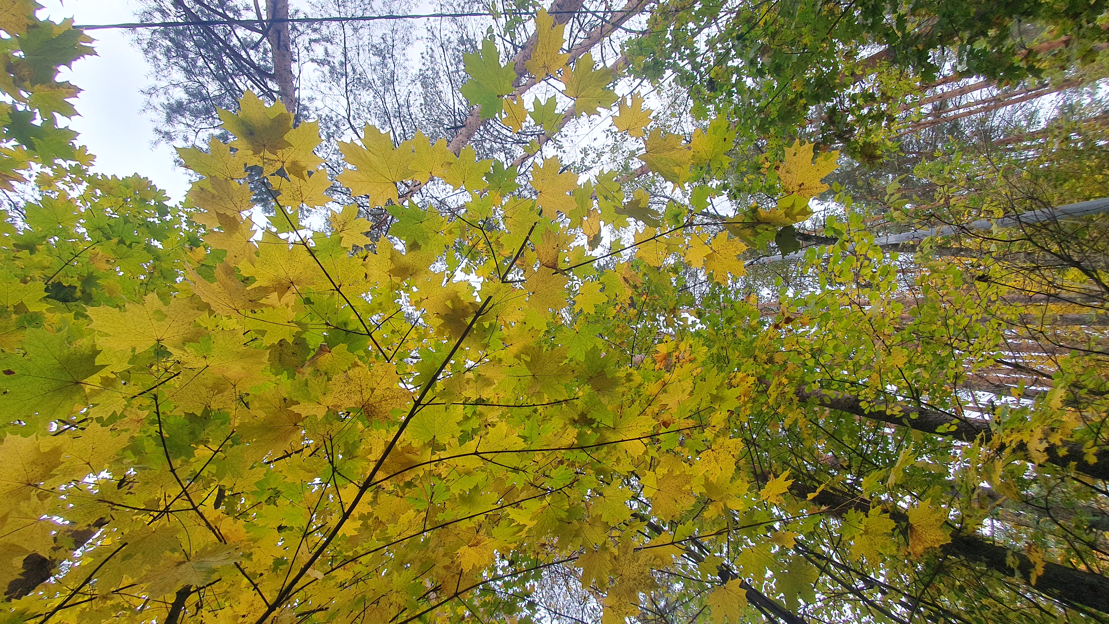 Фотографии года