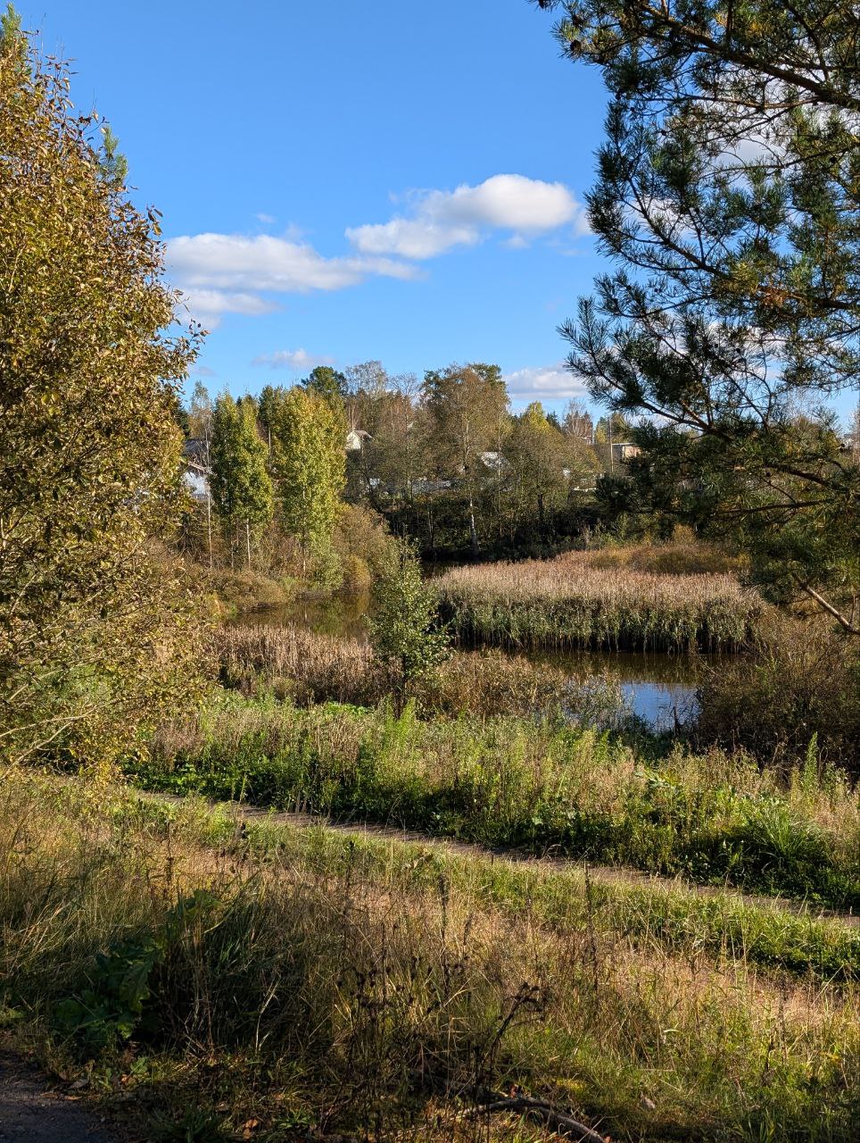 Стоит съездить: поселок Поляны в Ленинградской области
