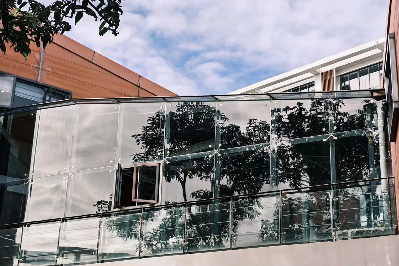 Пример фото, сделанного на камеру Honor 500 Pro с оптическим зумом 3×. Источник: heyupnow.com