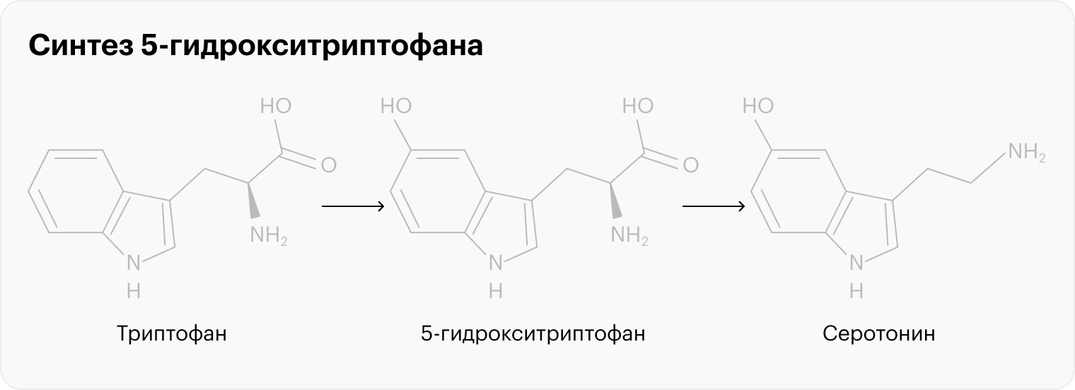 5-гидрокситриптофан — биохимический мостик между аминокислотой триптофаном и нейромедиатором серотонином