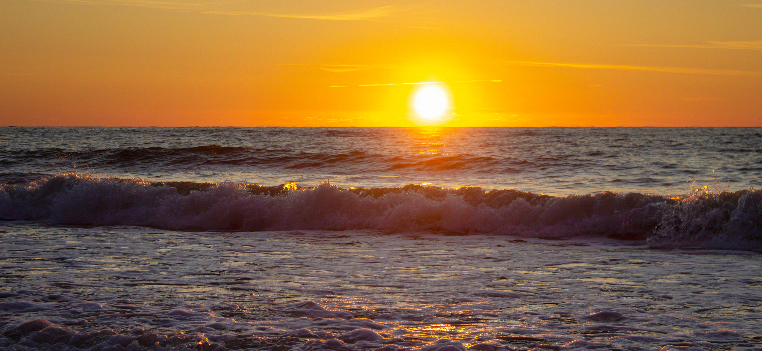 Осенняя Балтика и цветение магно­лии: 5 фото­альбомов из Калининградской области