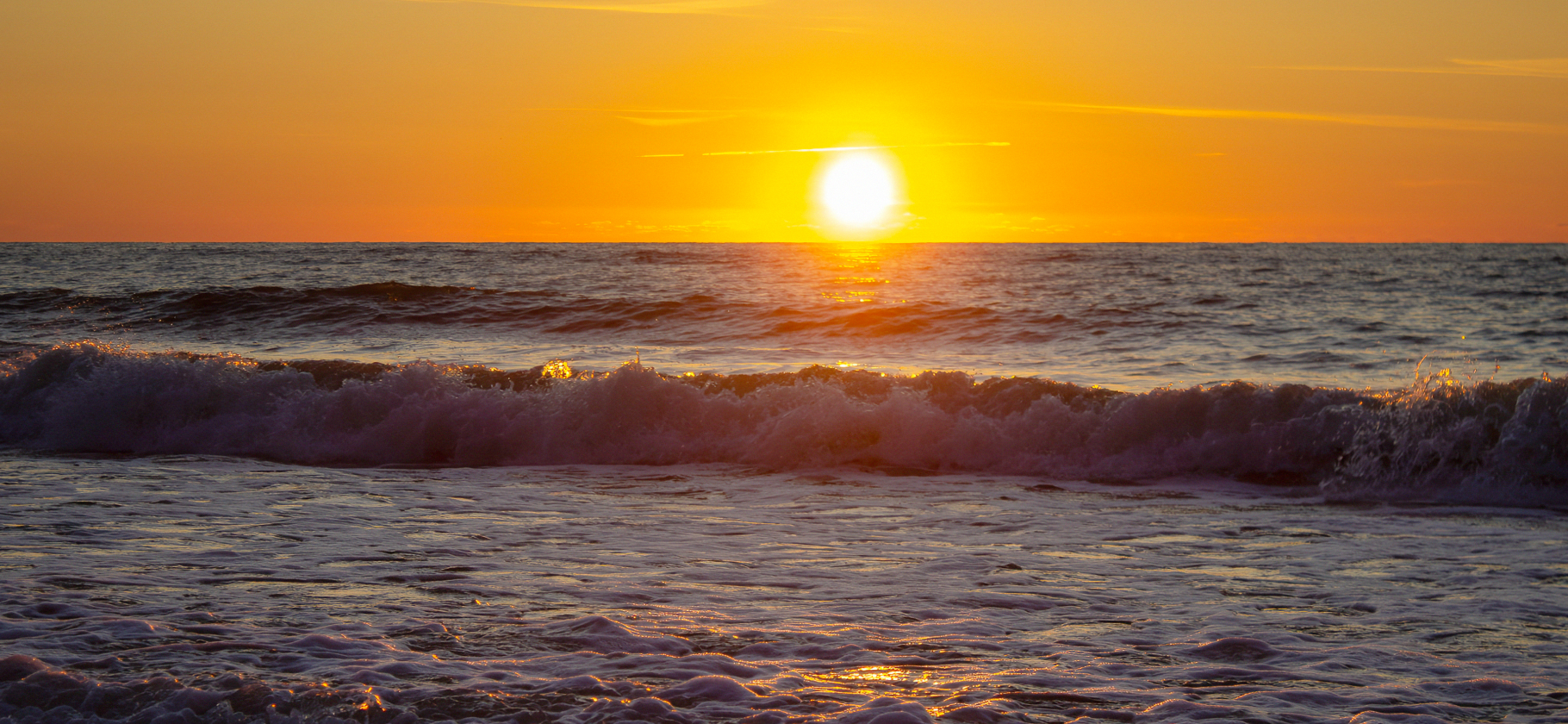 Осенняя Балтика и цветение магно­лии: 5 фото­альбомов из Калининградской области