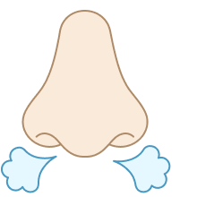 Лейбл заголовка