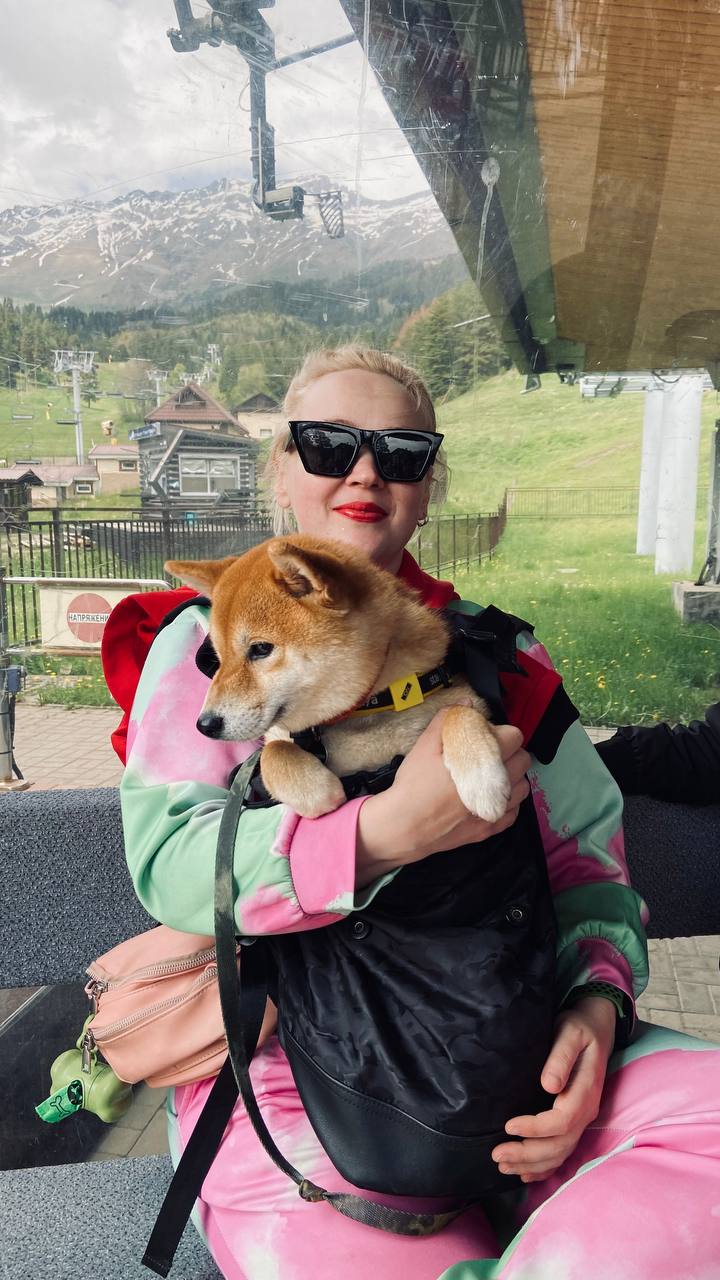 Собака-компаньон на горном подъёмнике. Мы боремся за то, чтобы она снова доверяла миру