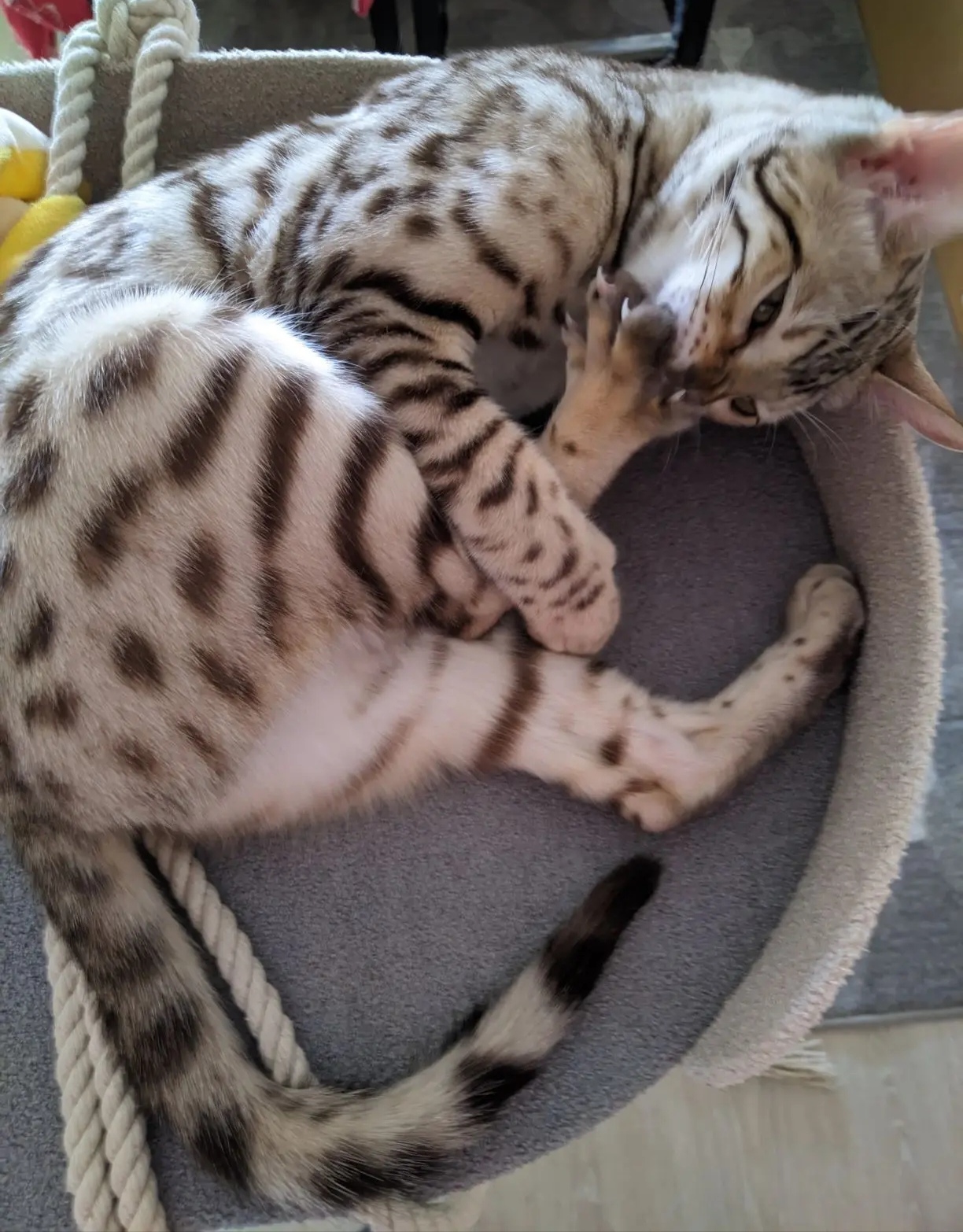 Делаю педикюр!