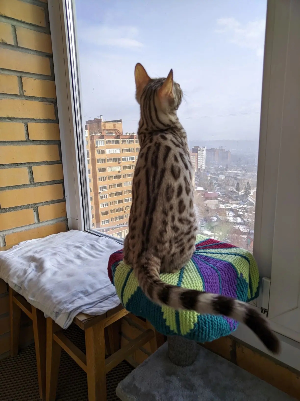 Прощай, снежная тучка!