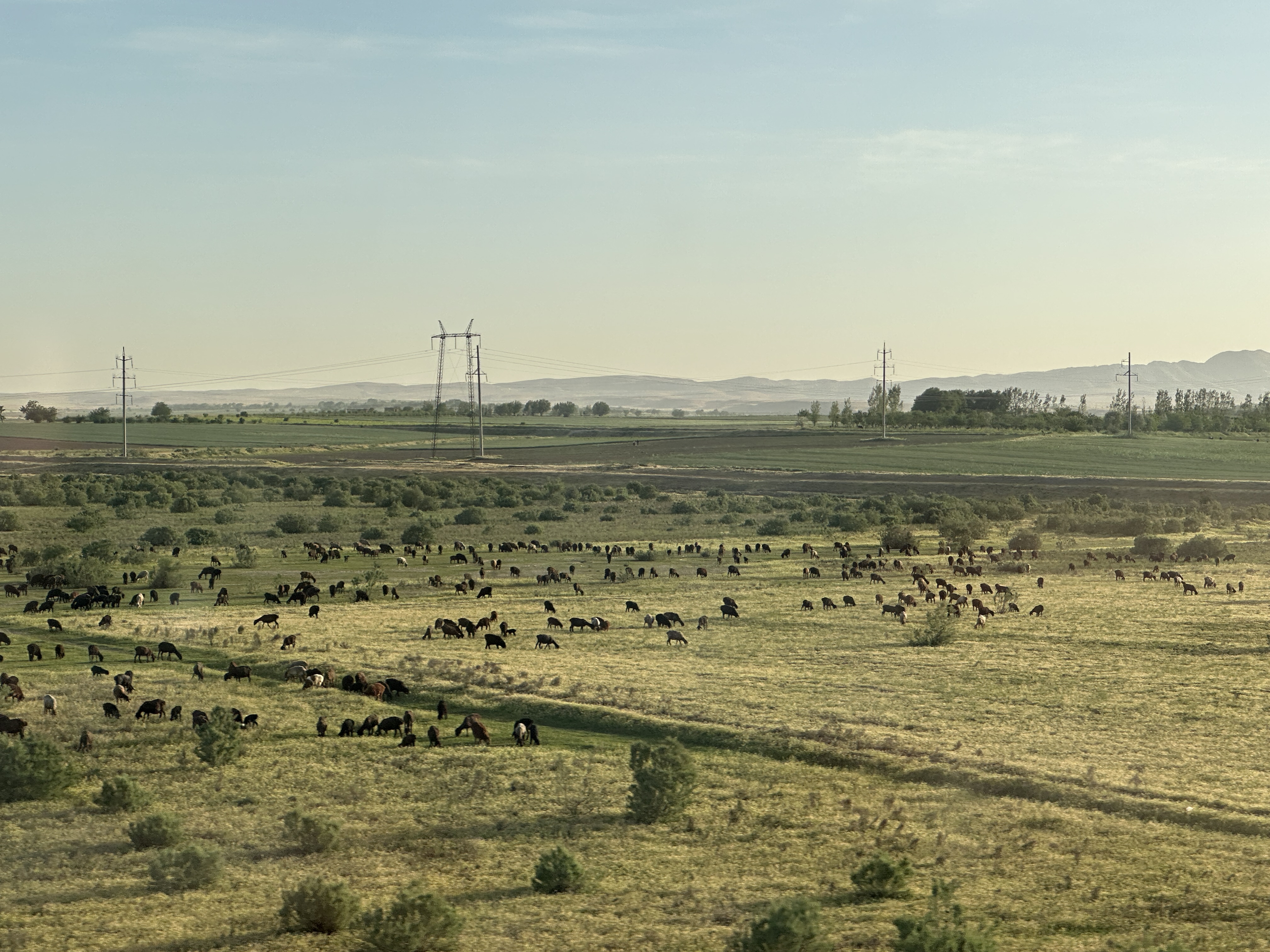 Дорога в Самарканд