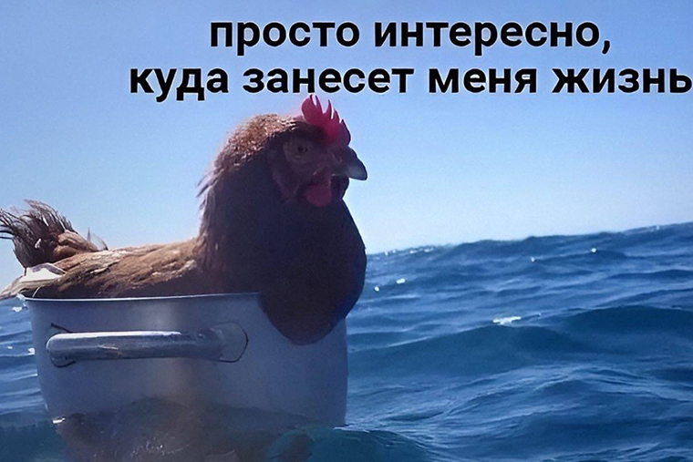 Мем о моих мыслях
