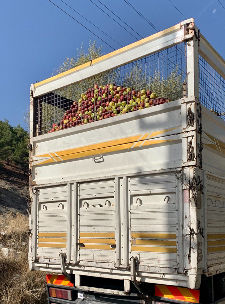 По грузовику, доверху груженному яблоками, можно судить о масштабах урожая