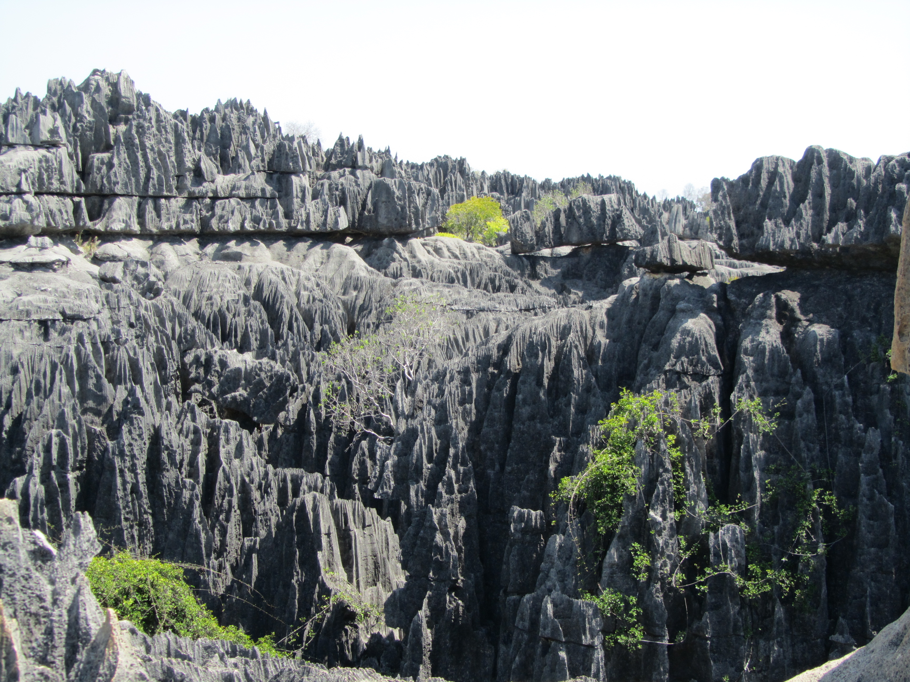 Цинги-де-Бермаха