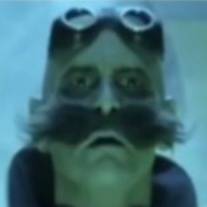 Мяу мяу 