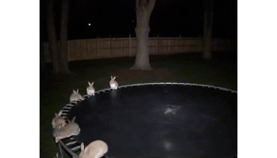 Изображение вопроса