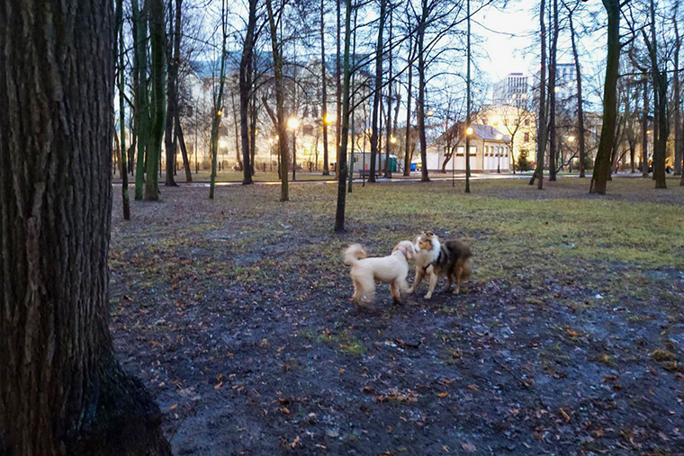 На прогулке хорошо поиграли
