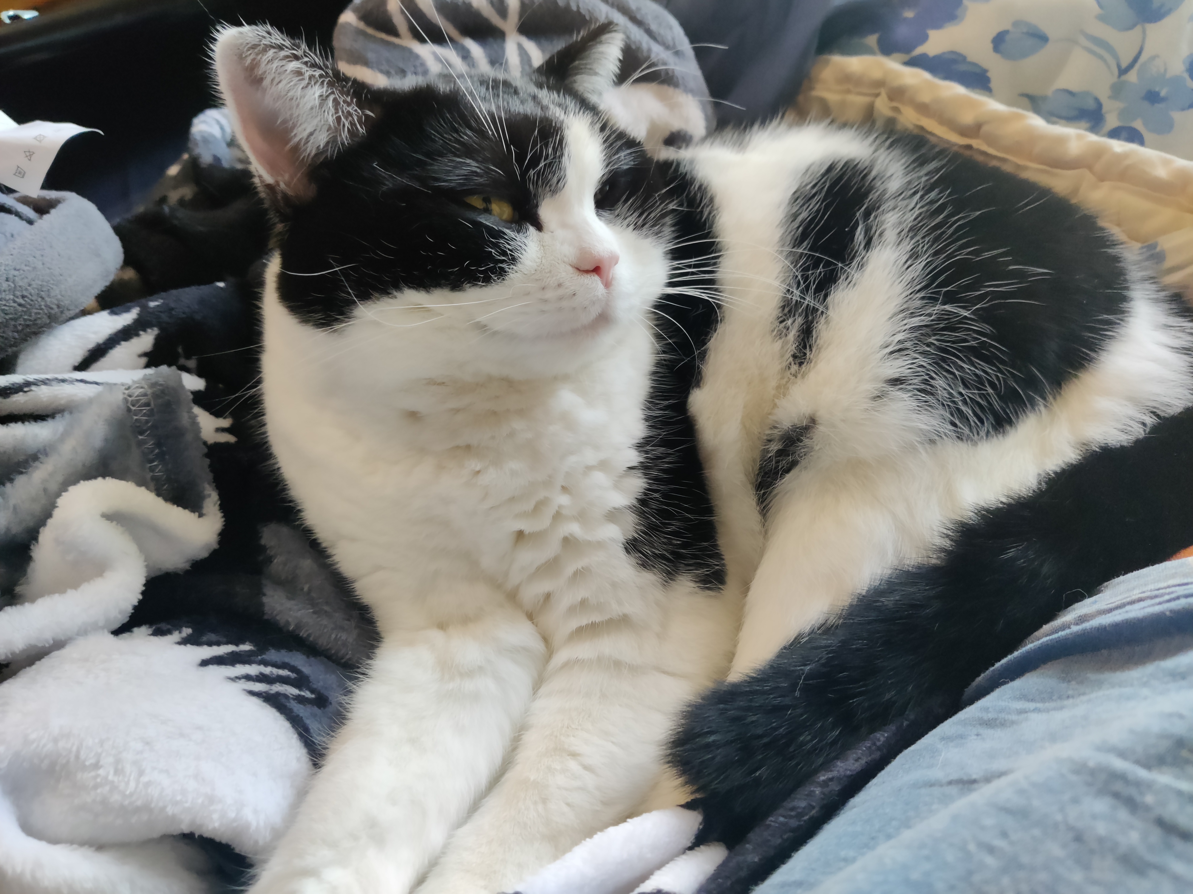 Крайне фотогеничная дама