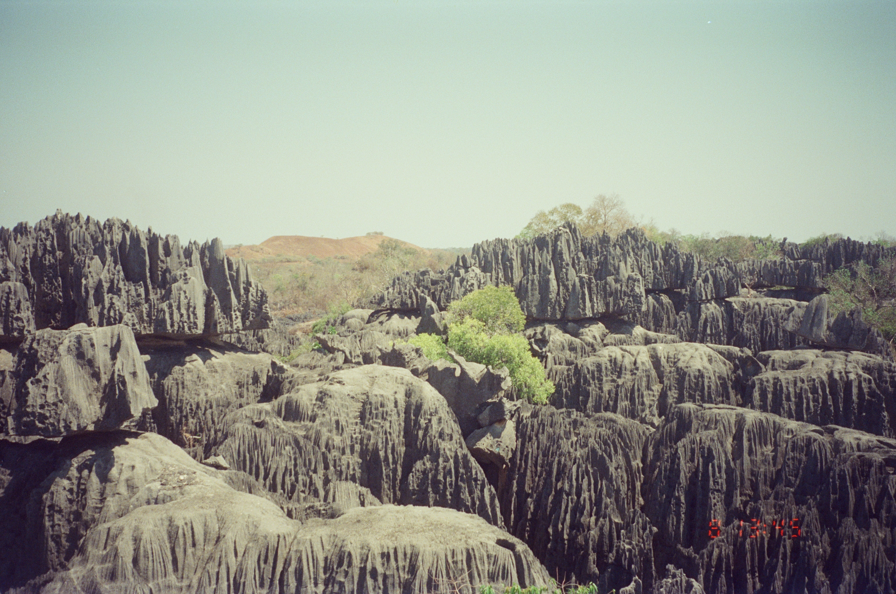 Парк Цинги-де-Бемараха, или Каменный лес