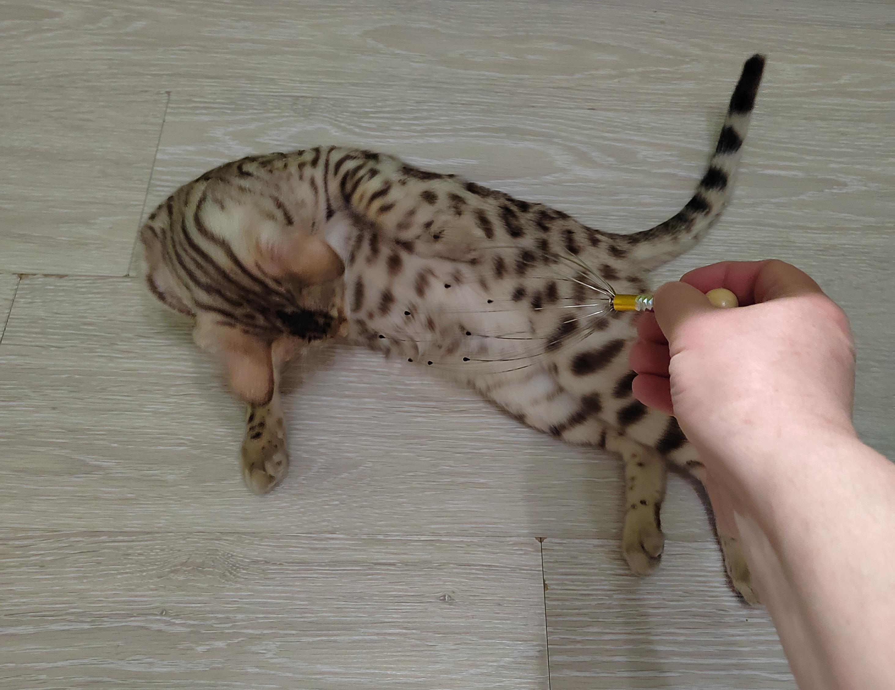 Не частите, чешите медленно!