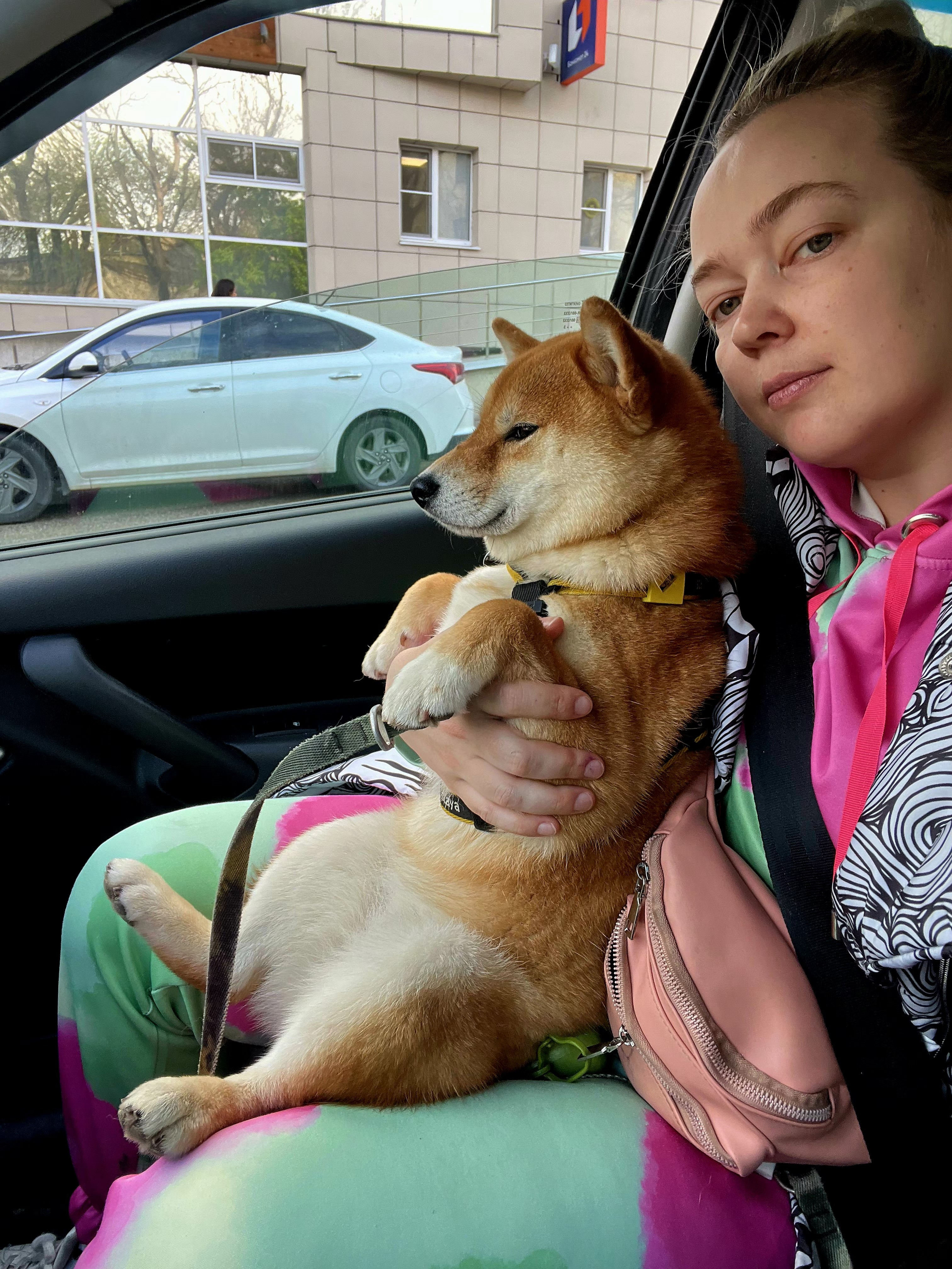 Чисто с кайфом едем на свидание к грумеру