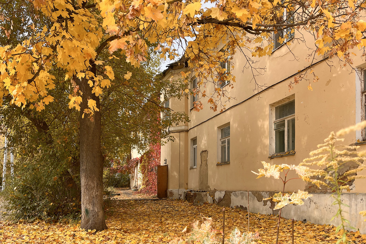 Для меня самым знаковым моментом после возвращения стала смена сезонов. Казалось бы, я это видела большую часть своей жизни, но именно сейчас каждый сезон и плавные переходы между ними ощущаются иначе