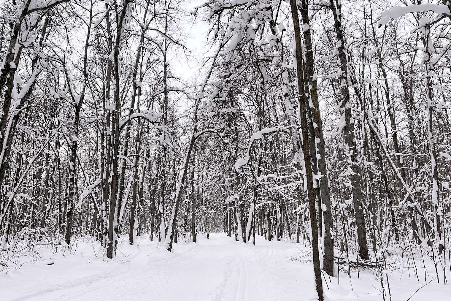 Ну и наконец, мое любимое время года — зима. Лыжи, катание с горки и прогулки на морозе делают меня счастливой. Помню, как я сокрушалась в Юго-Восточной Азии, когда на дворе была зима, а за окном ни намека на снег
