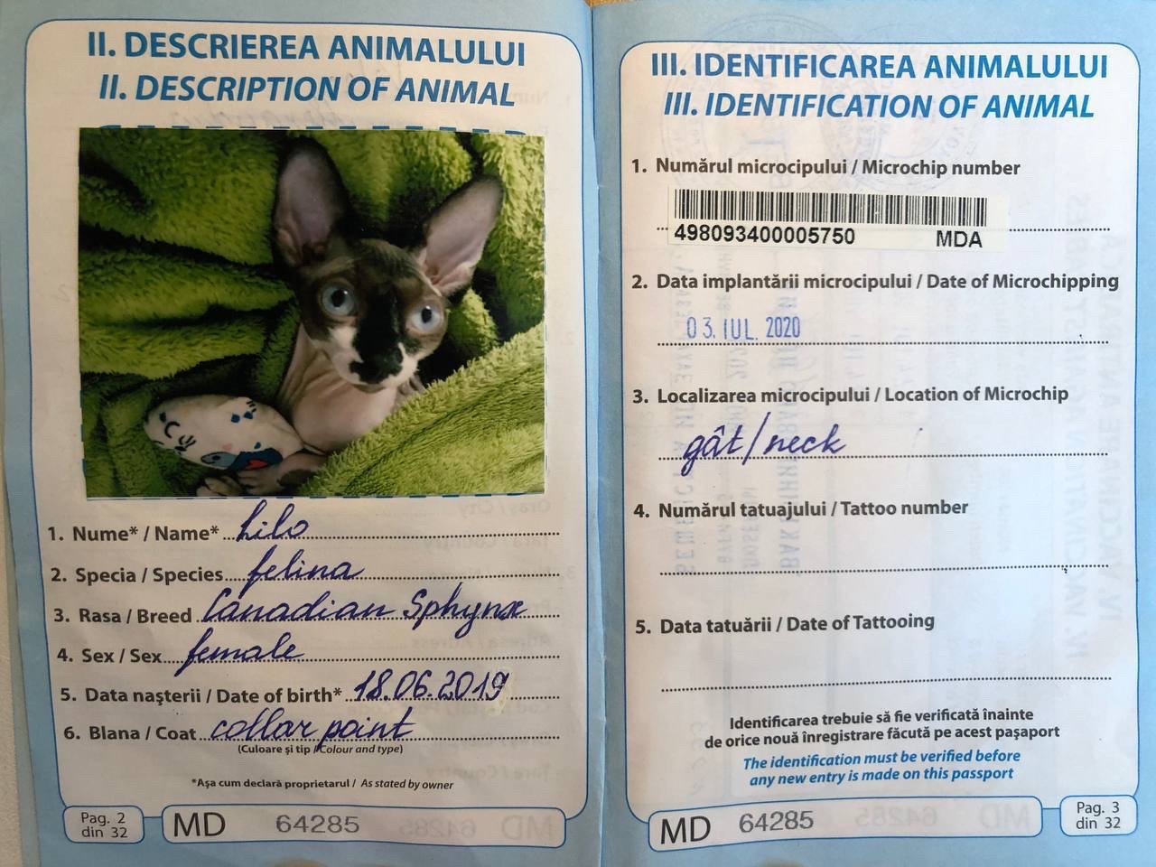 Паспорт Лило