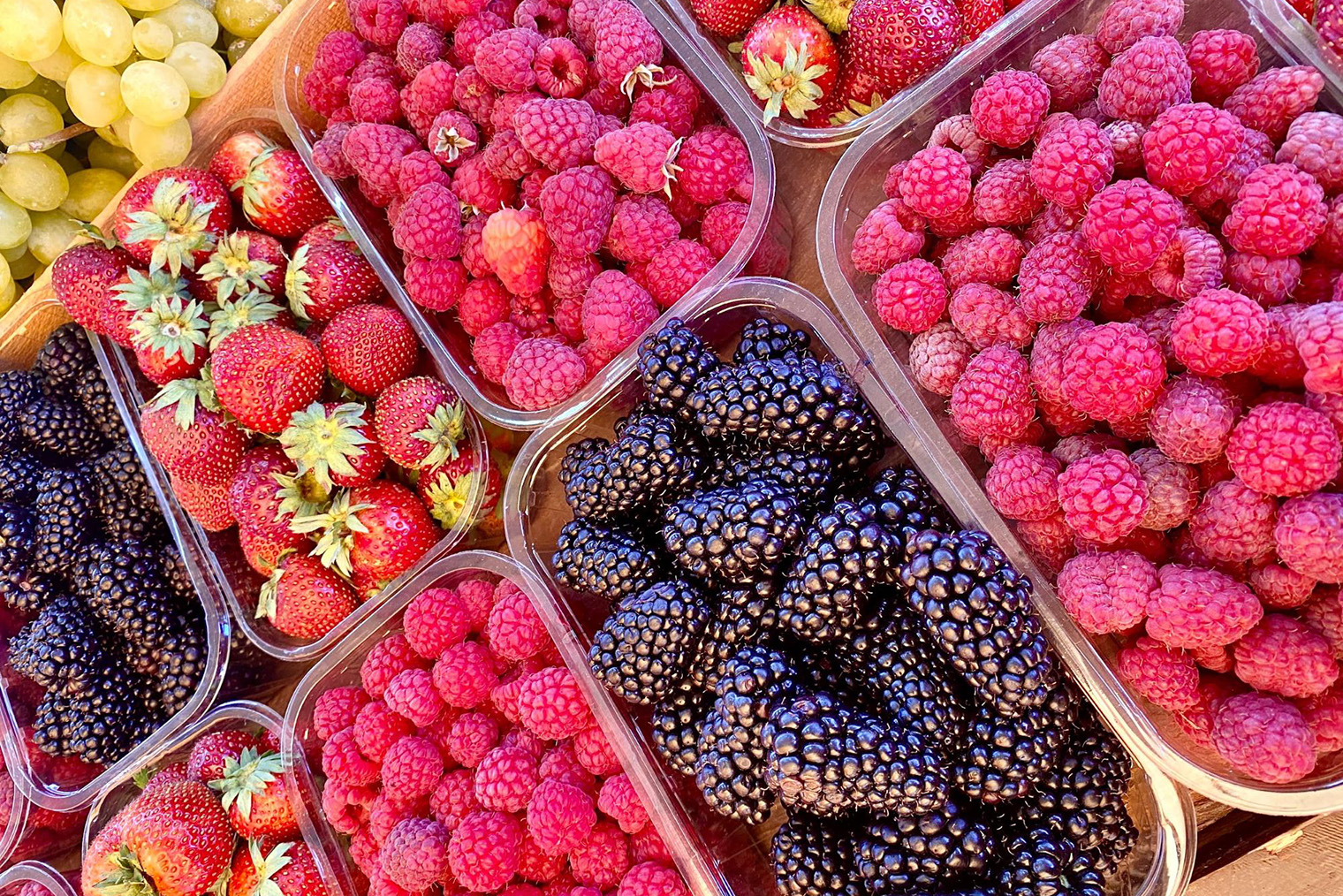 В сезон в Геленджике большой выбор ягод, фруктов и овощей