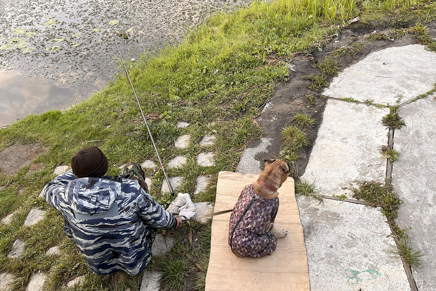 Мне так нравилось, да и до сих пор нравится наблюдать за размеренной жизнью людей в провинциальном городке
