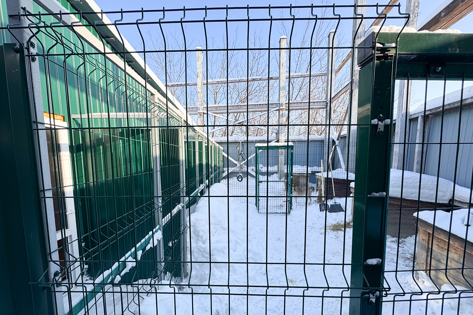 Мы разместили всех собак в той части центра, где нет постоянного шума от стройки, а график работ выстроили так, чтобы самые громкие этапы проходили в других блоках