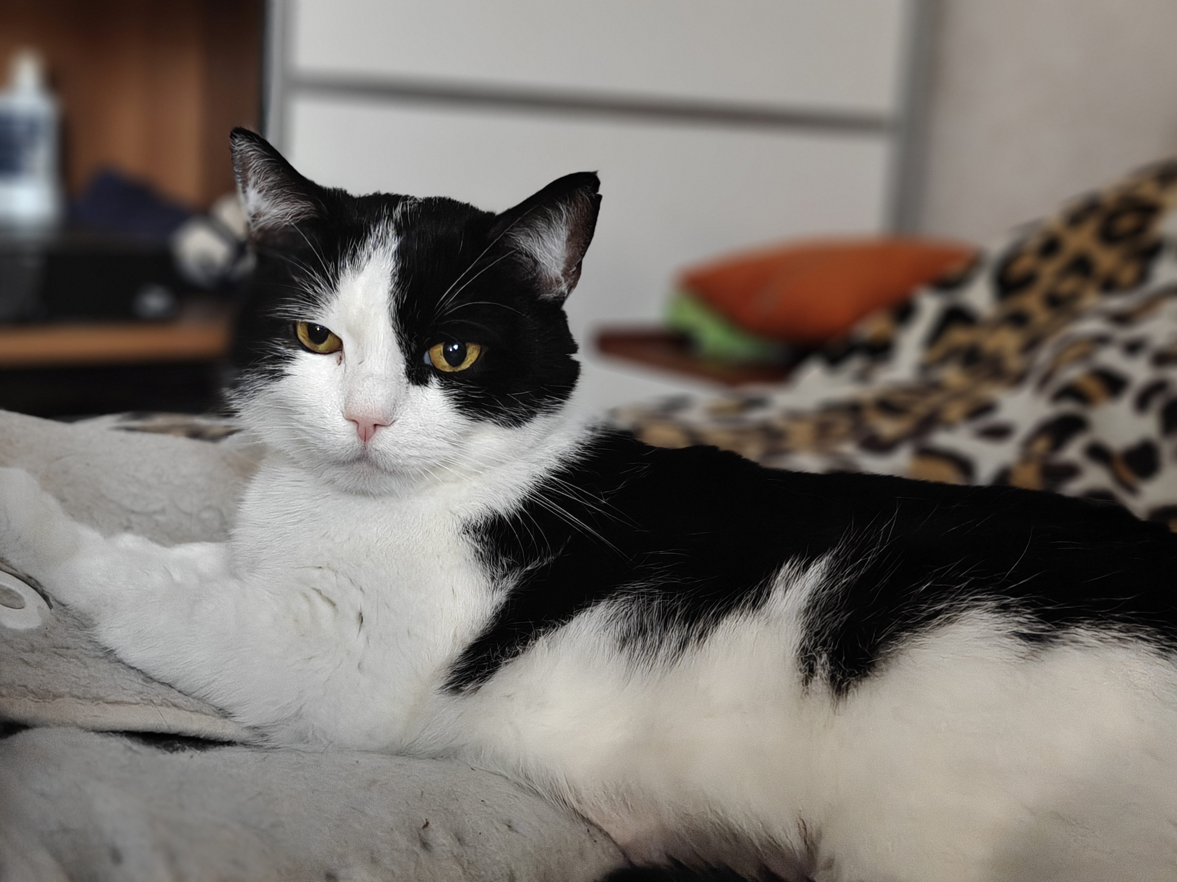 Последнее хорошее фото