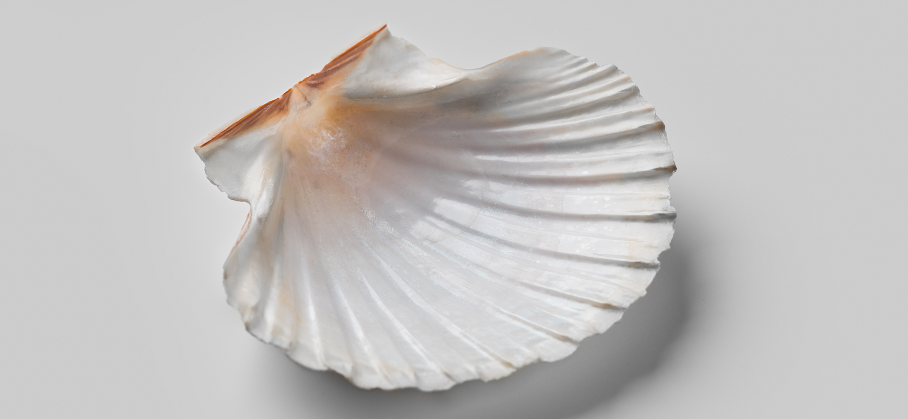 Три четверти компаний в России заявили о нехватке денег для развития