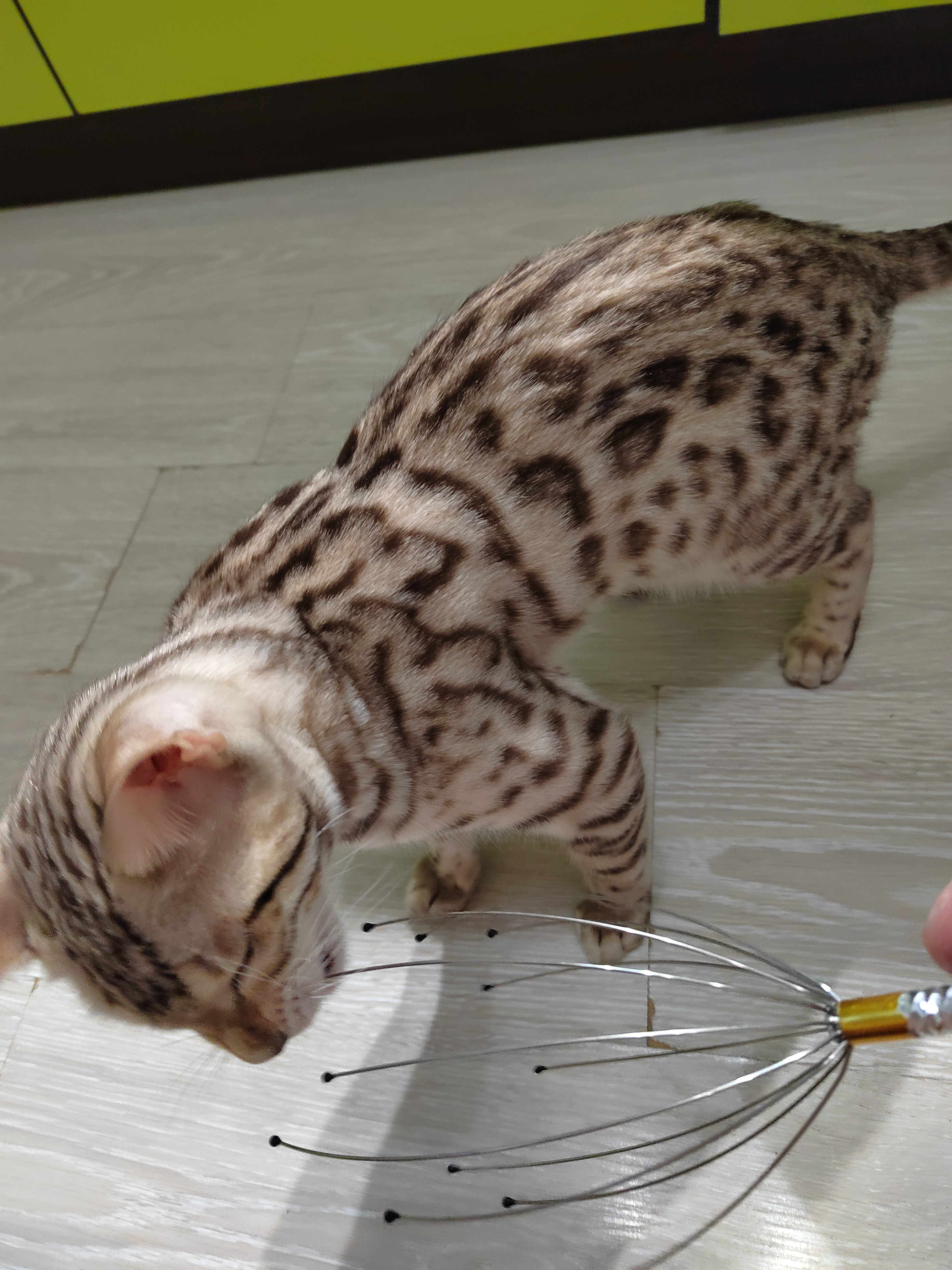 Пробую на зубок!