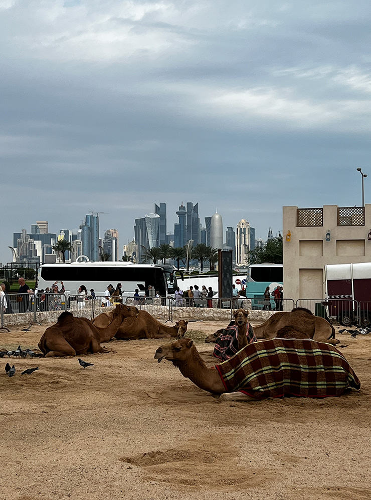 В Катаре органично смешивается прошлое и настоящее