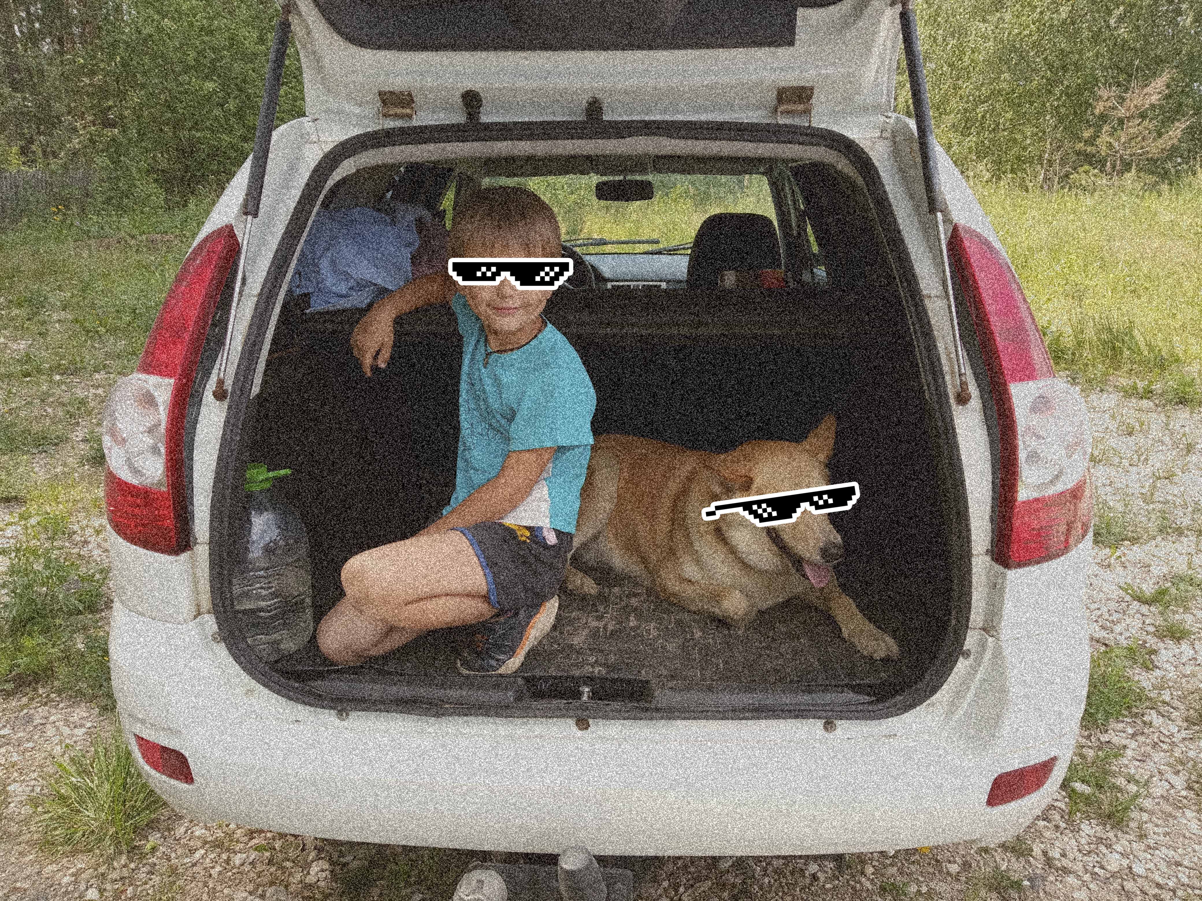 Мальчик и собака прячутся от зноя во вместительном багажнике моей таченьки