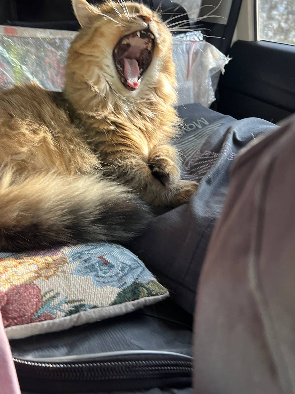 Ну, когда уже приедем?