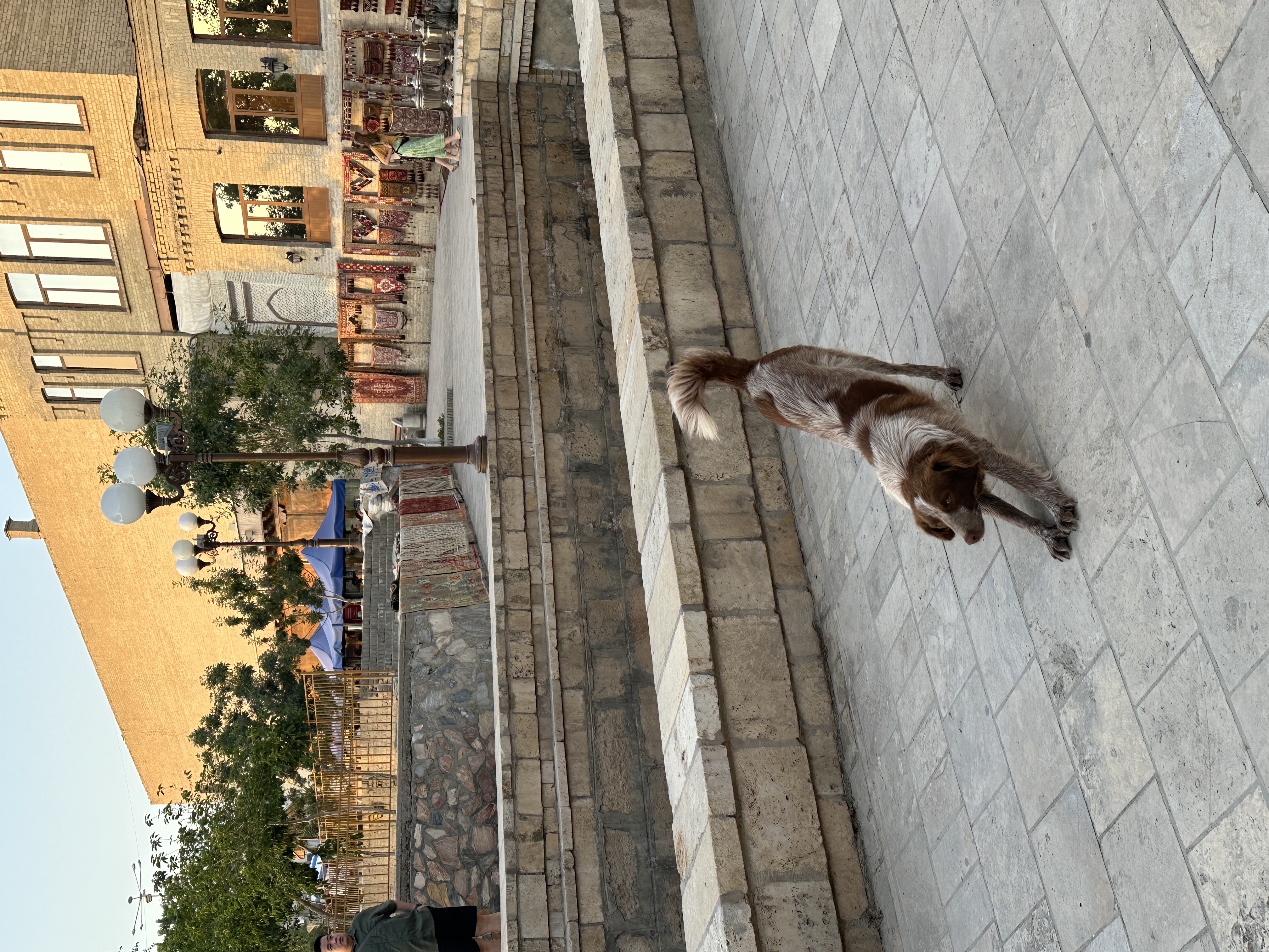 Утренняя зарядка