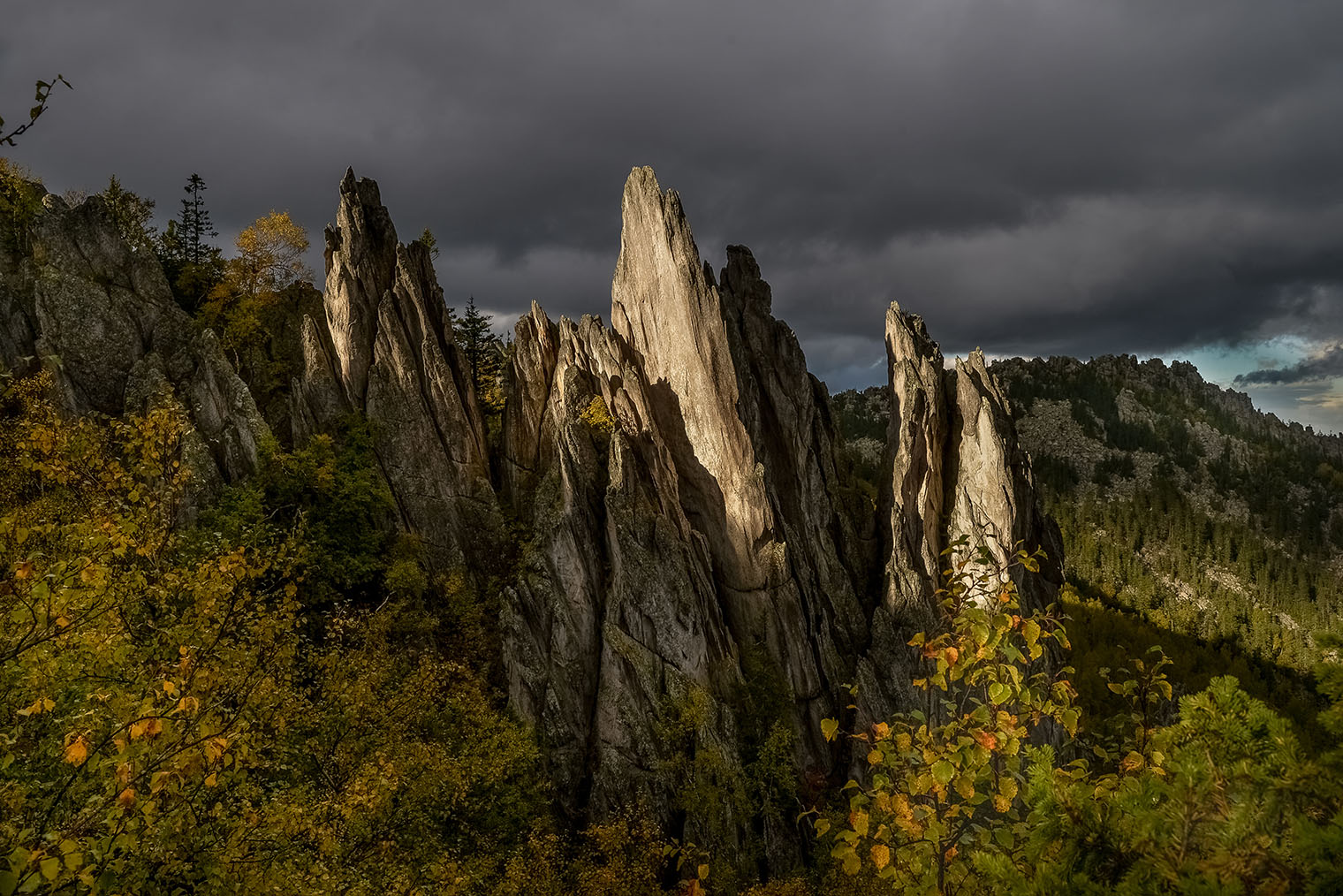 Склоны сопки покрыты каменными осыпями курумника, а вершины состоят из скальных стенок и расщелин, по которым интересно, но опасно ползать. Фотография: Dmitriy Kostylev / Shutterstock / FOTODOM