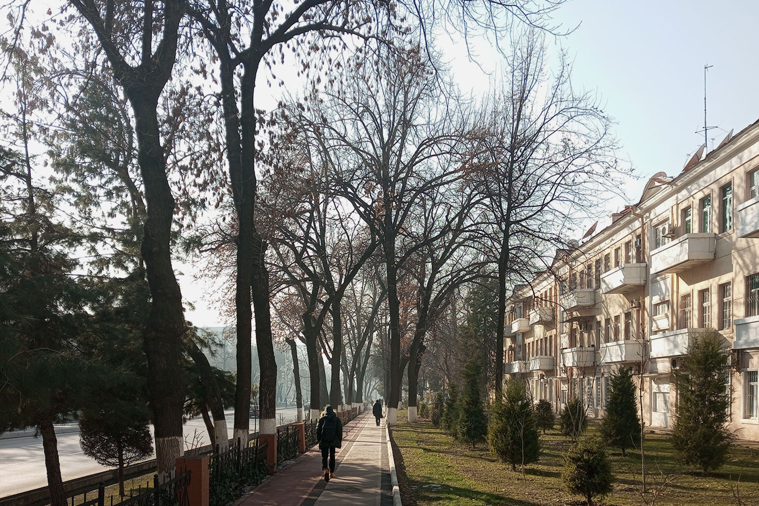 Хотя в декабре в Ташкенте солнечно, даже днем не обойтись без куртки или осеннего пальто